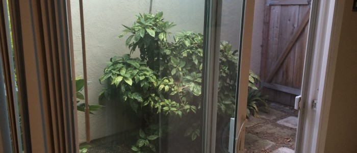 Atrium 36632 Port Anchorwood Place Newark CA