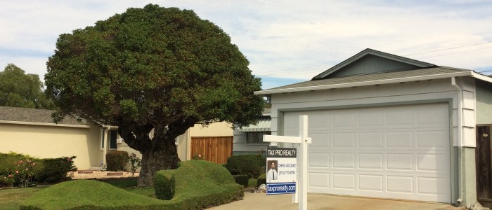Side Angle 4876 Serra Ave Fremont right angle2